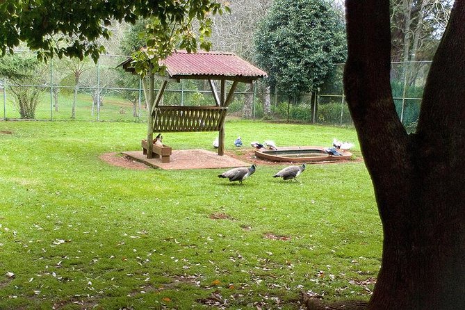 Sunday Market and Gardens Tour - Practical Aspects: Transport, Guides, and Group Size