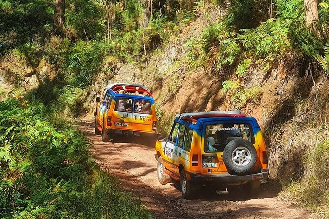Sunny Southwest, Rum, Banana, Waterfall and Lighthouse Discovery - Beaches and Waterfalls at Calheta and Rabaçal