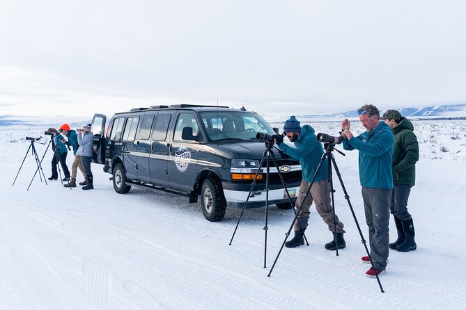 Sunrise 4-Hour Grand Teton Wildlife Adventure - Included Amenities and Practical Tips
