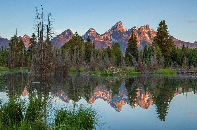 Sunrise 4-Hour Grand Teton Wildlife Adventure - Who Will Love This Tour Most
