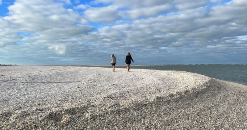 Sunrise and Shine 10,000 Islands Shelling Tour - Exploring the Barrier Islands of Floridas 10,000 Islands