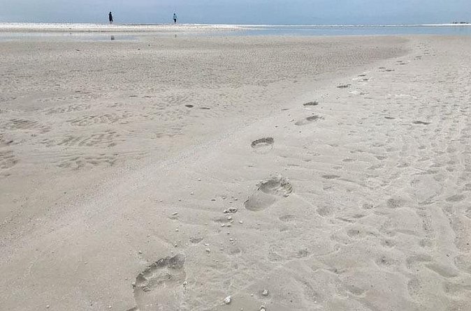 Sunrise and Shine Shelling Tour - The Overall Value of the Sunrise and Shine Shelling Tour