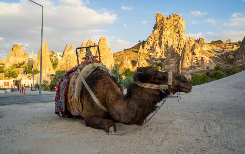 Sunrise and Sunset Camel Ride with Stunning Cappadocia Views - The Experience of Guides and Atmosphere