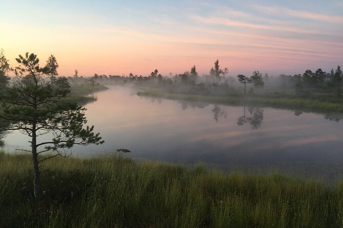Sunrise at Kemeri National Park - Key Points