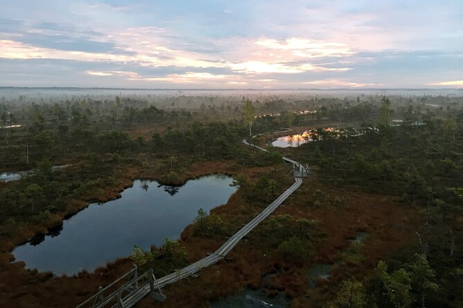 Sunrise at Kemeri National Park - Who Will Enjoy This Tour Most?