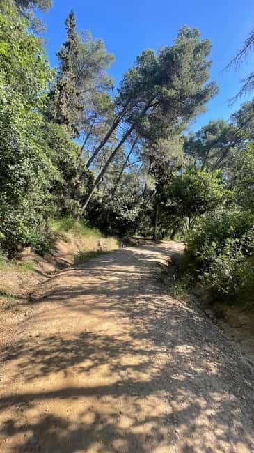 Sunrise at Tibidabo + local breakfast with views - Discover Barcelona’s Sunrise from Tibidabo with a Guided Walk and Local Breakfast
