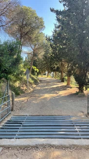 Sunrise at Tibidabo + local breakfast with views - Key Points