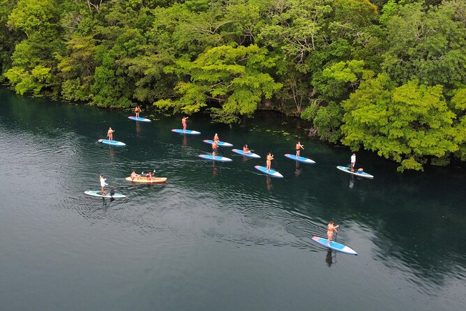 Sunrise by Paddle or Kayak with Floating Picnic - Enjoy a Delicious Floating Picnic in Nature