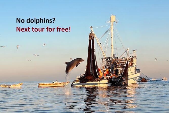 Sunrise Dolphins & Fishermen at Work speedboat tour in Rovinj - Key Points