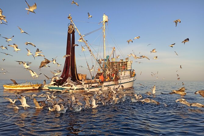 Sunrise Dolphins & Fishermen at Work speedboat tour in Rovinj - Respectful and Eco-Friendly Approach