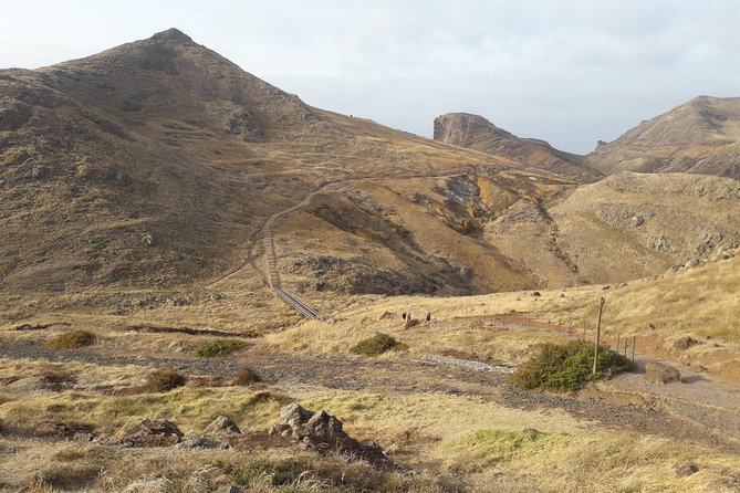 SUNRISE guided HIKE in Ponta de São Lourenço Natural reserve PR8 - Comparing This Tour to Other Madeira Excursions