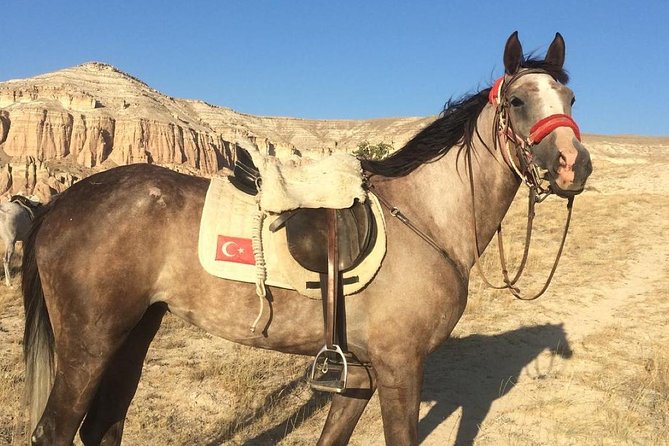 Sunrise Horsebackriding Tour in Cappadocia - Horses and Guides: Well-Trained Animals and Adaptable Leadership