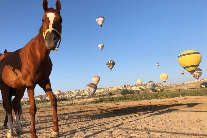 Sunrise Horsebackriding Tour in Cappadocia - Weather and Cancellation Policies