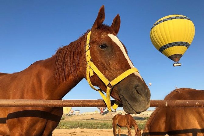 Sunrise Horsebackriding Tour in Cappadocia - What to Expect from the Experience