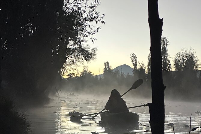 Sunrise Kayak Tour in Xochimilco - What Sets This Tour Apart from Other Xochimilco Experiences
