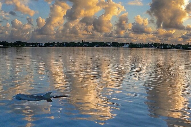 Sunrise Paddle Boarding Adventure in Jupiter - Wildlife Encounters and Marine Life Sightings in Jupiter