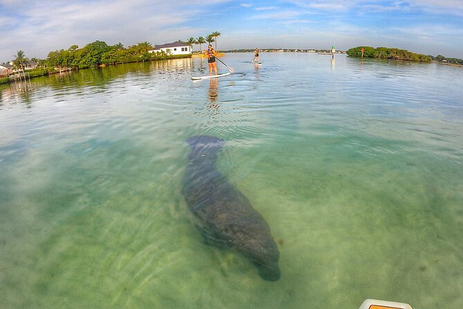 Sunrise Paddle Boarding Adventure in Jupiter - Equipment Provided for Safety and Comfort on the Water