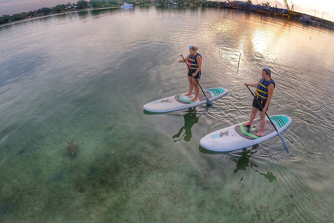 Sunrise Paddle Boarding Adventure in Jupiter - Physical Fitness Level and Accessibility Considerations