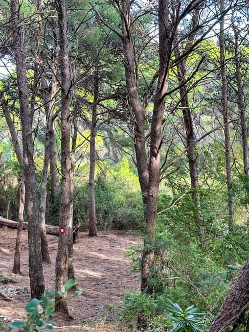 Sunrise & Sunset Hike with Picnic  Mala Petka, Dubrovnik - Easy Access to Mala Petka Forest Park