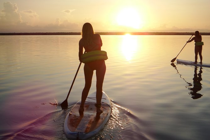 Sunrise Tour (Stand Up Paddle or Kayak) - The Guides: Professional and Knowledgeable