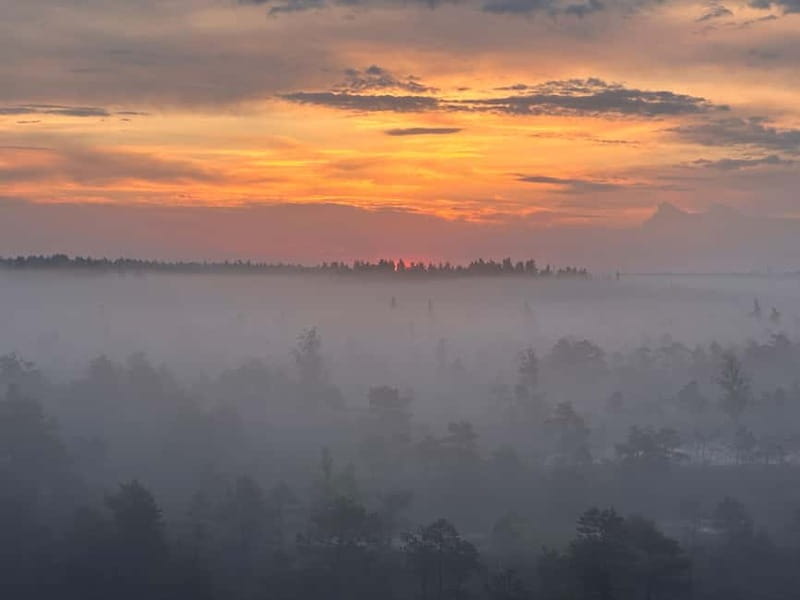 Sunrise Tour To Great Kemeri Bog - Discover the Sunrise Magic at Great Kemeri Bog in Latvia