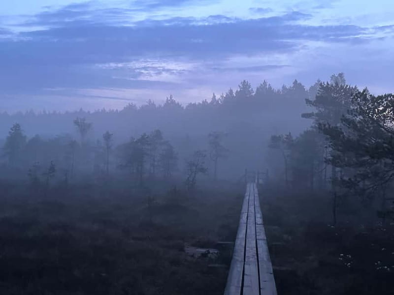 Sunrise Tour To Great Kemeri Bog - Witnessing the Magic of the Kemeri Bog Sunrise