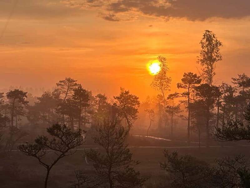 Sunrise Tour To Great Kemeri Bog - What Is Included and What You Should Bring