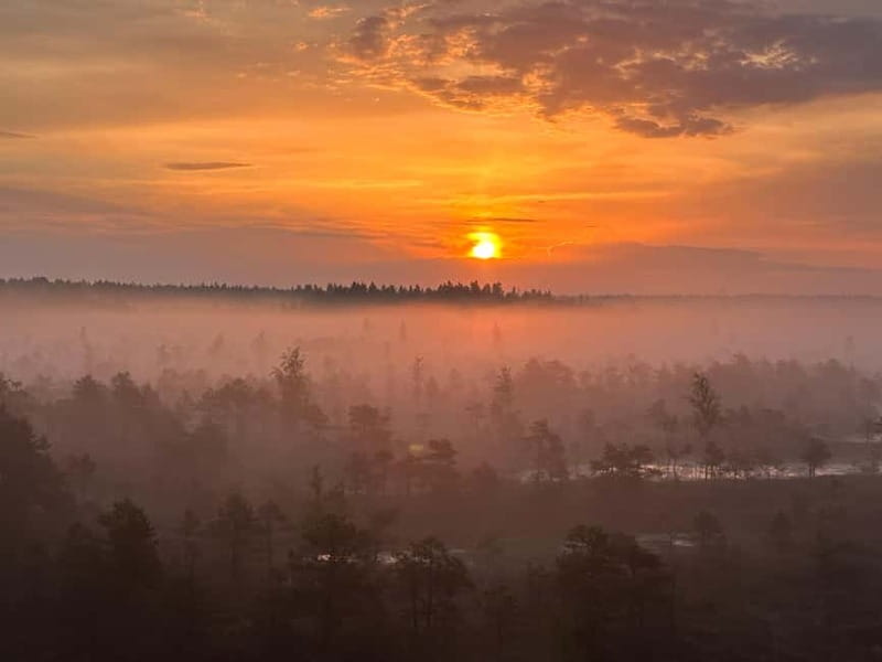 Sunrise Tour To Great Kemeri Bog - Flexibility and Booking Options