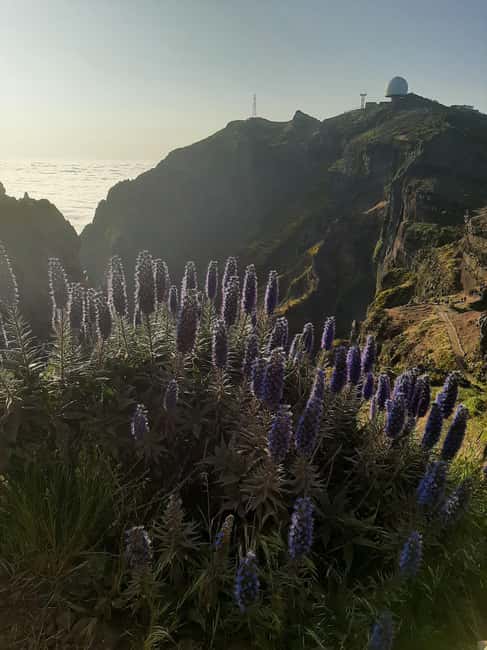 Sunrise Walk & Stairway to Heaven- Guided - The Value of This Sunrise and Stairway Experience