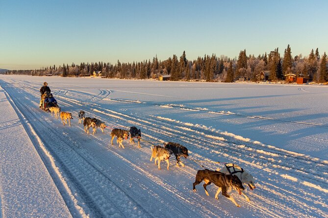 Sunrise Zen Husky Tour (10:00 to 13:00 - sitting on the sled) - Discover the Sunrise Zen Husky Tour in Kiruna, Sweden