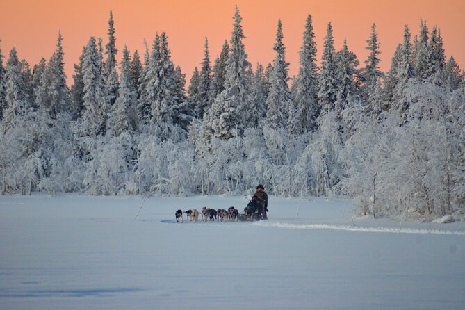 Sunrise Zen Husky Tour (10:00 to 13:00 - sitting on the sled) - Logistics and Group Size Benefits