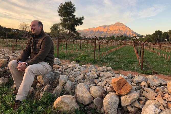 Sunset among Vineyards with Tasting in Alicante (min 6-12 people) - Sunset among Vineyards with Tasting in Alicante: An Intimate Vineyard Experience