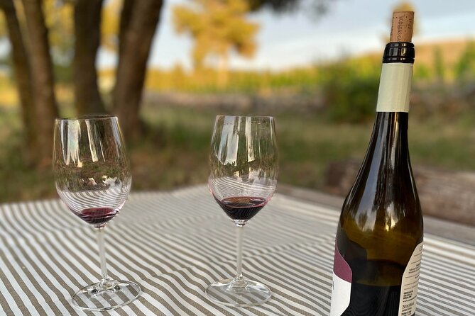 Sunset among Vineyards with Tasting in Alicante (min 6-12 people) - The Hosts Passion and Knowledge