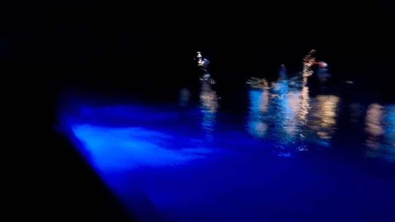 Sunset and Bioluminescence Boat Tour at Los Arcos Islands - Key Points