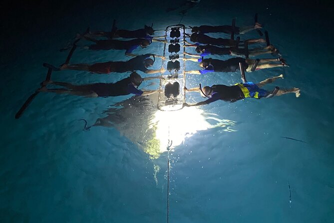 Sunset and Manta Ray Snorkel Adventure - Timing and Group Size