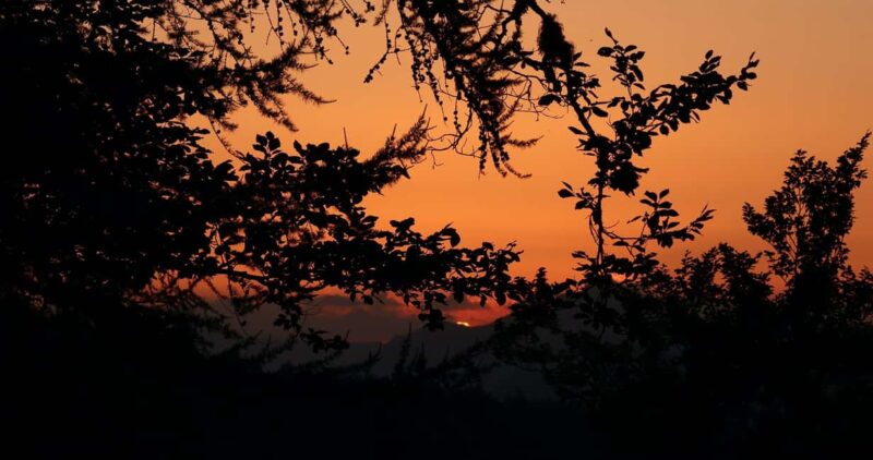 Sunset at the Monges lake and peaks - Evening Forest Walks and Mountain Fauna