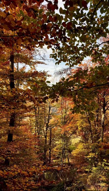 Sunset at the top: Monte Navegna Sunset Hike with Guide - Watching the Sunset from Monte Navegna