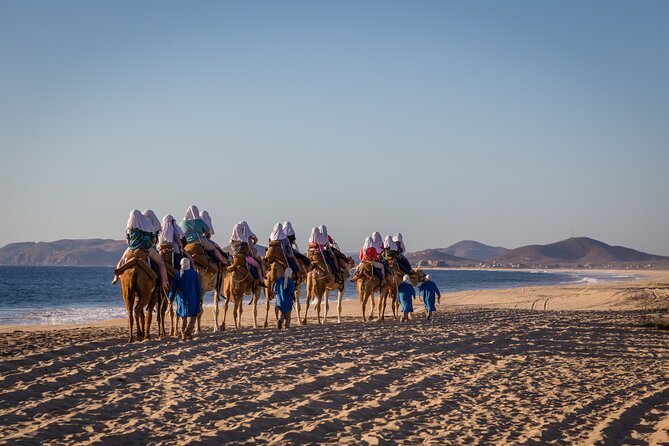 Sunset beach Camel ride with Mexican Buffet and Tequila Tasting - Tierra Sagrada Nature Trail: Flora and Fauna