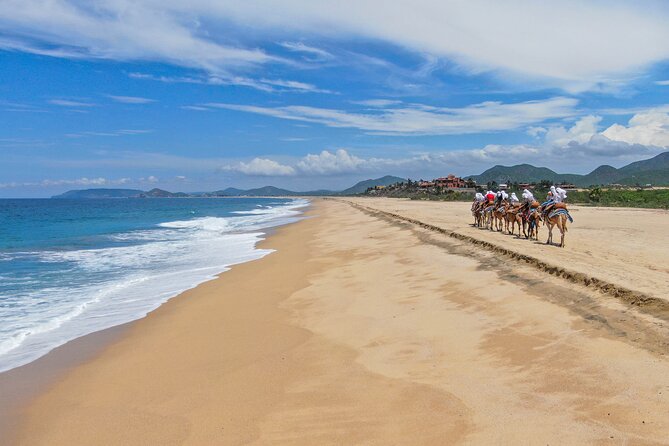 Sunset beach Camel ride with Mexican Buffet and Tequila Tasting - Practical Details: Pickup, Duration, and Group Size