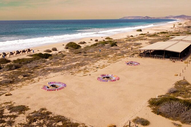 Sunset beach Camel ride with Mexican Buffet and Tequila Tasting - Considerations and Limitations