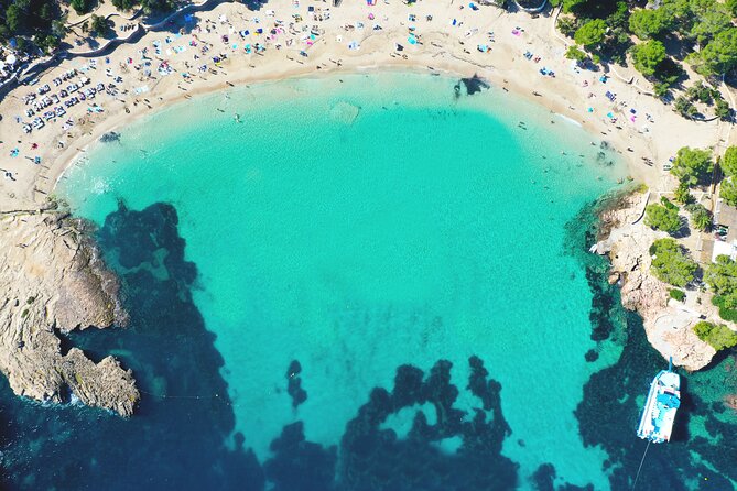 Sunset Beach Hopping Cruise, Cala Comte and Cala Bassa, SUP and snorkelling - Key Points