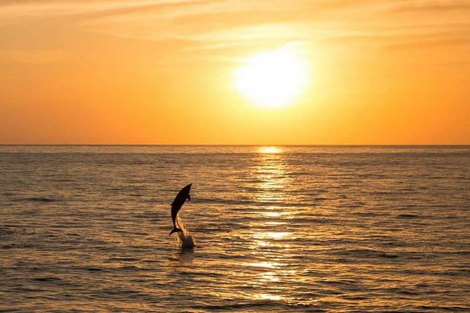 Sunset Beach Hopping Cruise, Cala Comte and Cala Bassa, SUP and snorkelling - Water Sports and Waterplay Equipment Included