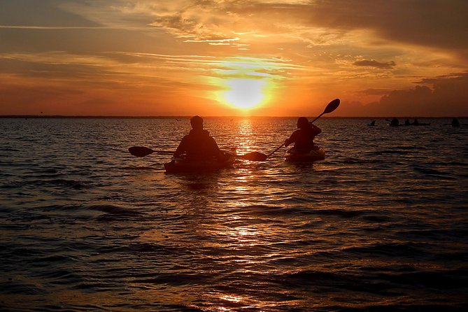 Sunset Bioluminescence Tour - Explore Florida’s Merritt Island at Sunset