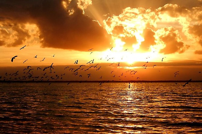 Sunset Bioluminescence Tour - Tour Equipment and Safety Measures