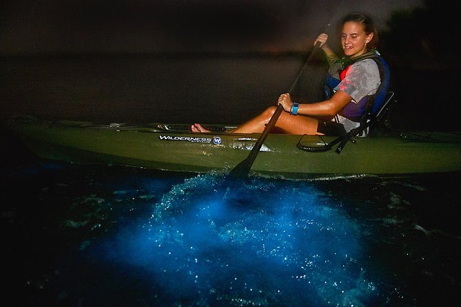 Sunset Bioluminescence Tour - What to Expect During the Tour