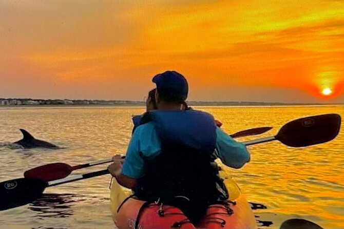 Sunset Bioluminescent Comb Jelly & Dolphin Tour - Experience the Bioluminescent Wonder on a Small-Group Tour in Cocoa Beach