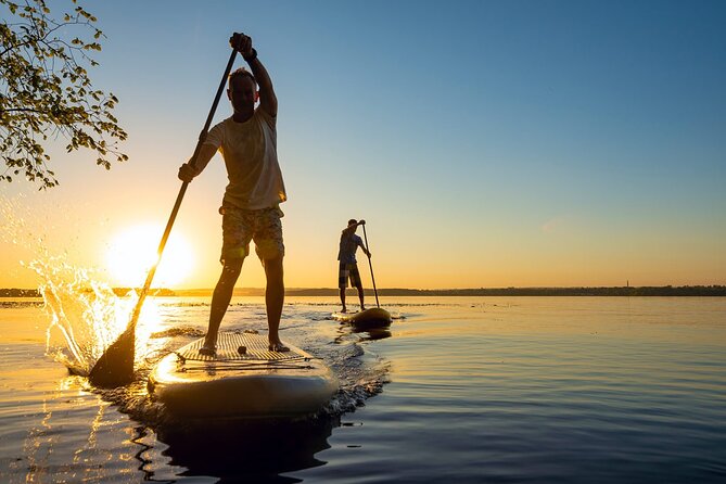 Sunset Bioluminescent Comb Jelly & Dolphin Tour - Instructors and Guides Make It Safe and Informative
