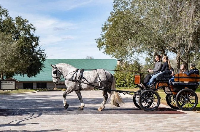 Sunset Carriage Ride and Dinner - Logistics and Meeting Points