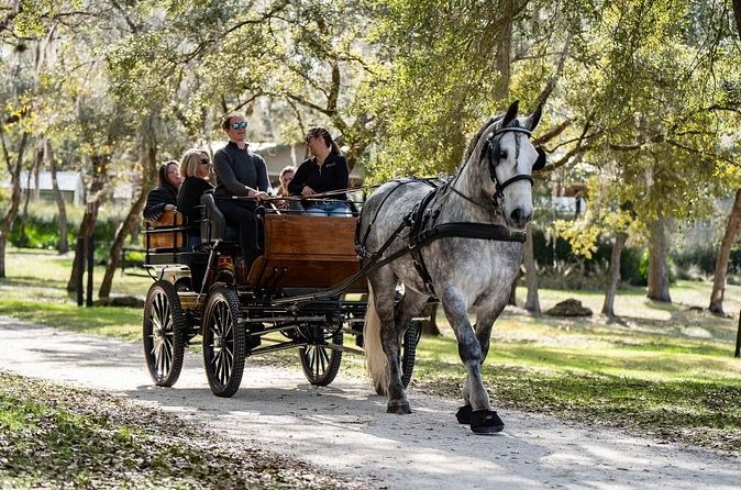 Sunset Carriage Ride and Dinner - Who Will Enjoy the Sunset Carriage and Dinner Tour