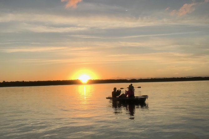 Sunset Clear Kayak Tour - Exploring the Intercoastal Waterway and Mangrove Tunnels